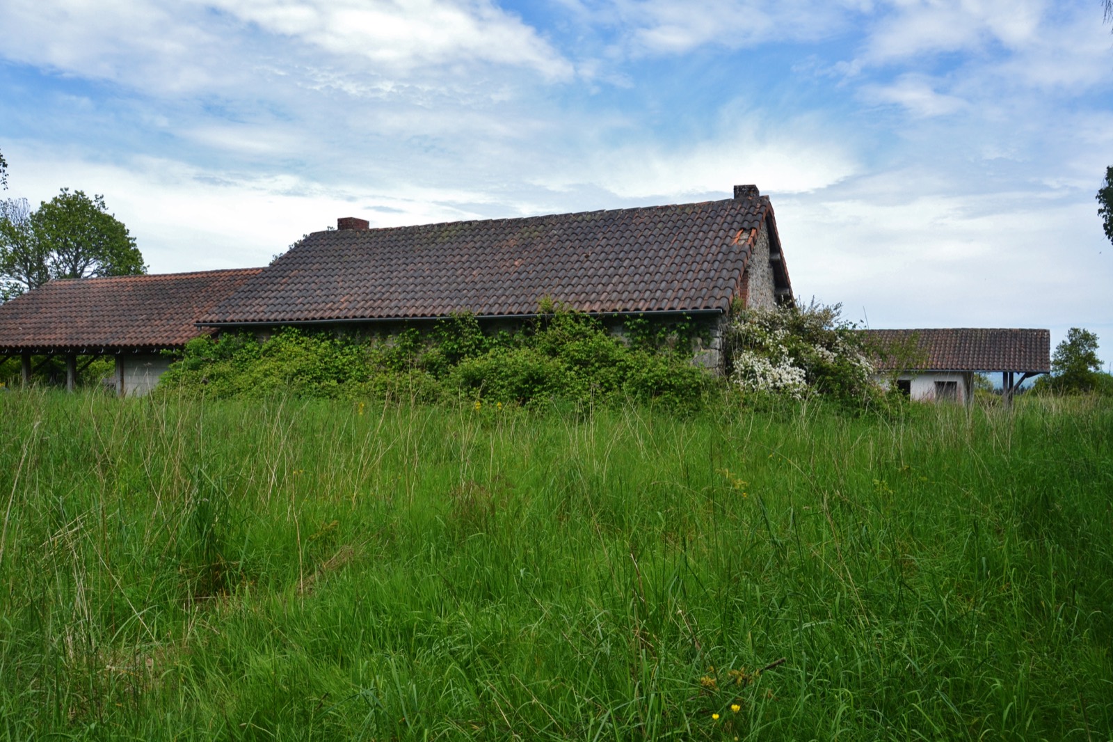 Village abandonné de Courbefy en Haute-Vienne